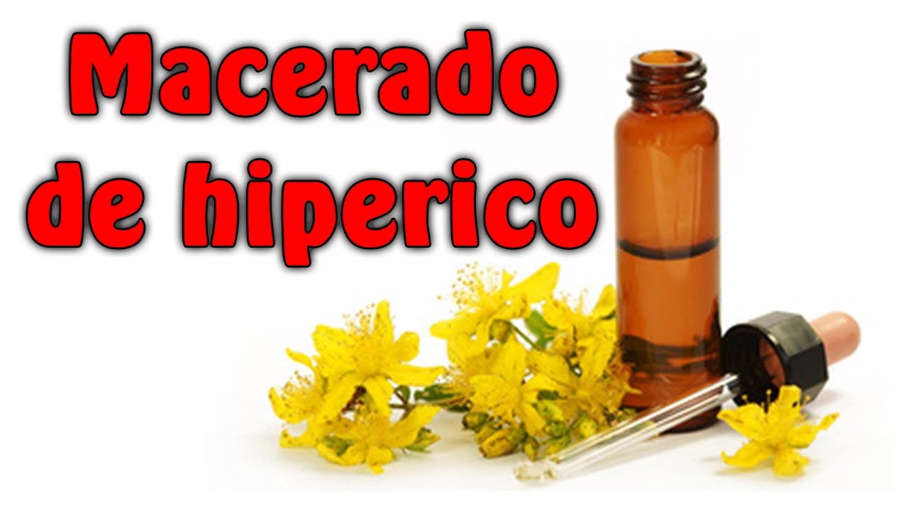 🟥⏩¿Qué es el hipérico y para que sirve Propiedades y beneficios del MACERADO o ACEITE de HIPÉRICO.