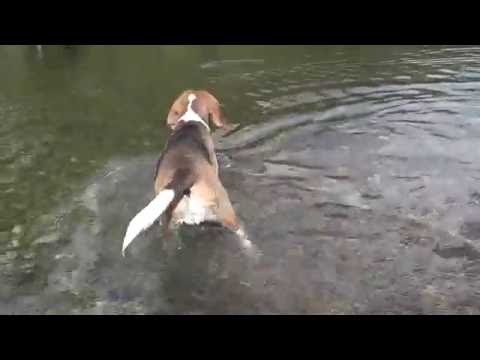 Mon p'ti sous_marin !