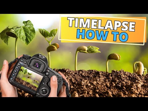 HOW TO Make Your Own Plant TIMELAPSE