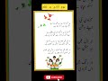 15 August Per Urdu Nazam Urdu Poetry For 15 August 15august Urdupoetry Urdumazmoon