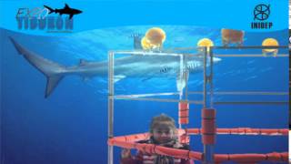 DIA 2 Expo Tiburon265