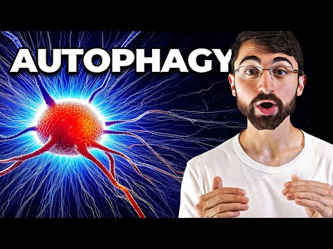 The Shocking New Neuroscience Behind Depression and Chronic Stress