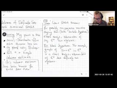 Volumes of Definable Sets in O Minimal Expansions and Affine GAGA Theorems