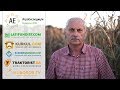 Насіння кукурудзи ЛГ 3350