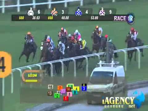 SINGAPORE RACE 06/10/2013 RACE 12 - iAgencyNet