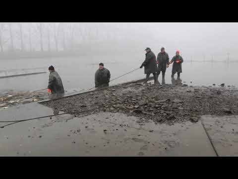 Výlov rýbníka Ležánecký MO ČRS Pardubice 2020