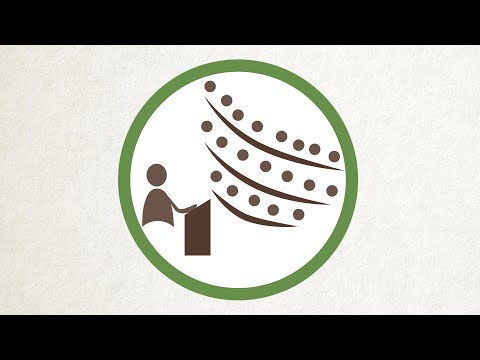 What is the Legislature?