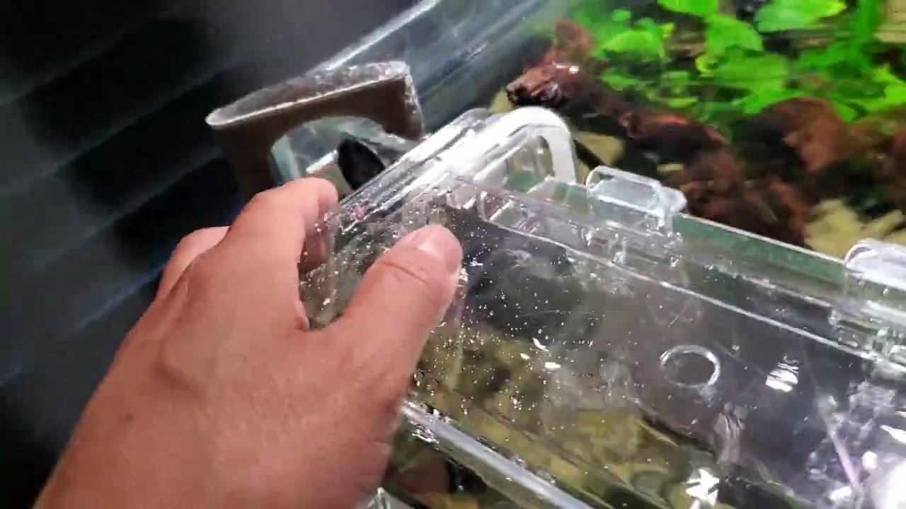 fluval multi chamber holding and breeding box aquarium breeder box