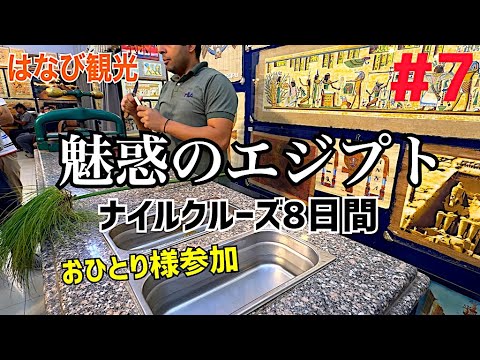 パピルス、パピルス植物 植物