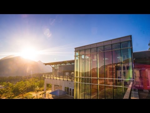 A Glimpse into Quest