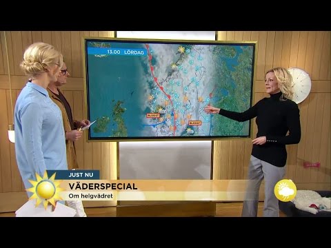 Meteorologen: "Det blir en myshelg vädermässigt" - Nyhetsmorgon (TV4)