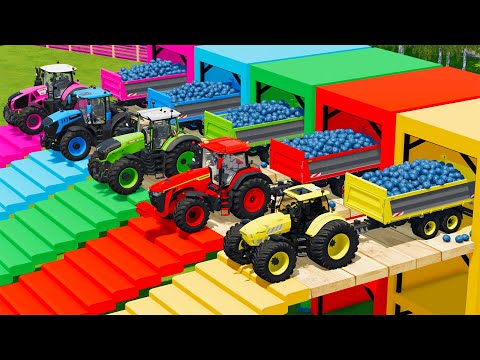 LAMBORGHINI vs JOHN DERRE vs FENDT vs CLAAS vs JCB TRACTORS BATTLE WITH BLUEBARRYS - Farming Simulat