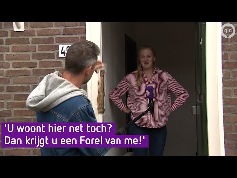 Zomer in Gelderland | Wedden dat je het niet gaat redden #12 | Doornspijk