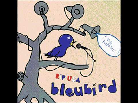 Bleubird - Writer