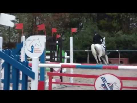 Qadola GP 1,15m bondues