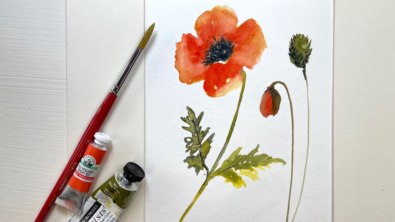 How To Paint a Poppy in Watercolor - Easy Way to Master Poppies, Buds  & Leaves in Loose Watercolor