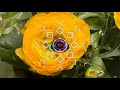 Ronna Riva Cliche Original Mix