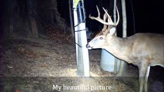 mike mays passion in life