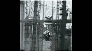 SELTAEB MUSIC---Growing Up Falling Downより--