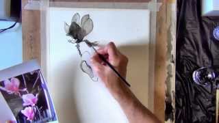 Magnolias Pen and Ink Speed demonstration by Joe Cartwright