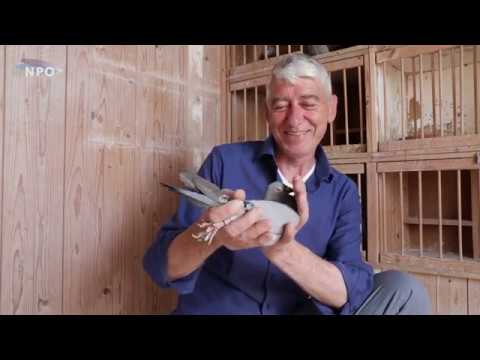 National winners NPO 2018: Dax - Cees Elzakkers, Halsteren