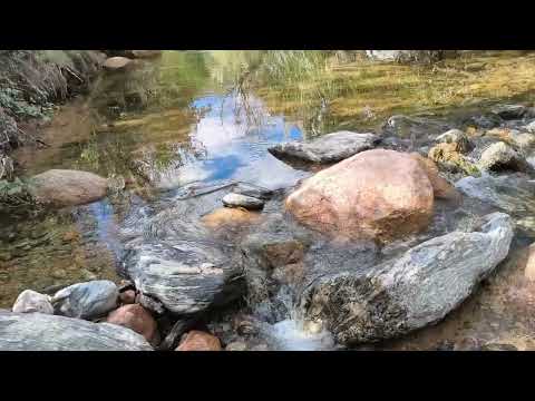 Bajada al arroyo Villa Elena Cortaderas San Luis Argentina 