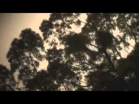 Secrets of the Samurai Sword - Top Documentary