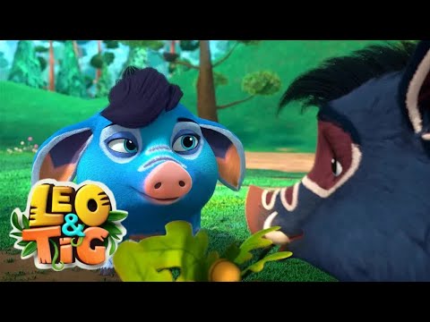 Leo and Tig ???? Cuba in Love ???? Funny Family Good Animated Cartoon for Kids