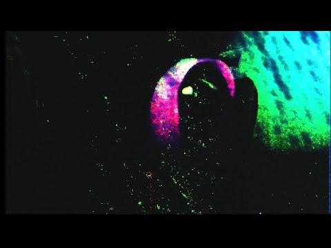 Zalmad - Gaz / produced by 6MON [ Freestyle ]