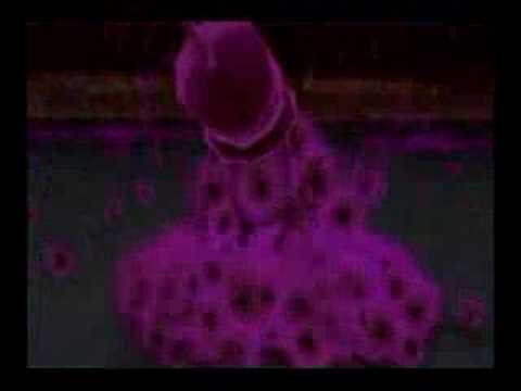 Super Smash Bros. Brawl Wii Trailer