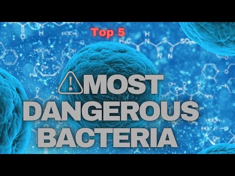 ⚠️ 5 Most Dangerous Bacteria That Can Kill You! 🦠