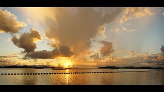 Sunrise 29th June 2021