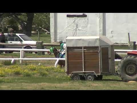 201002 c01 - OCEANO 1º - SINT COLONIA