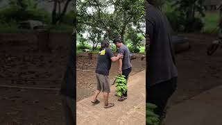 Download lagu Sketsa bodor sunda #lucu #komedi #ngakak #comedy #bodorsunda #funny #bodoransundangakak #hiburan mp3 Download lagu Sketsa bodor sunda #lucu #komedi #ngakak #comedy #bodorsunda #funny #bodoransundangakak #hiburan mp3