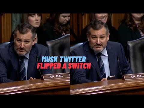 Cruz: obvious someone flipped a switch, rational explanation from 1K to 70K after Musk twitter buy