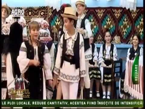 MARIA BORCEA - Albă floare iasomie