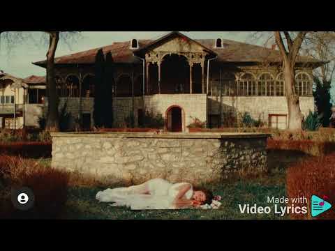 Matteo & Theo Rose - Copacul ( Versuri)