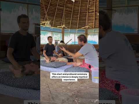 #bufoalvarius #5meodmt #godmolecule #psychedelics #plantmedicines