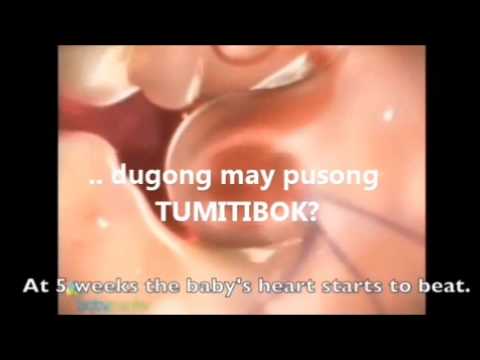 Kasaysayan ng pagbaba ng timbang ng 30 kilo o higit pa Kung paano alisin ang mga bahagi sa baywang para sa isang linggo ng video