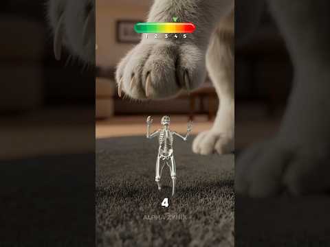 What If You Shrunk to the Size of an Ant? 🐜💀