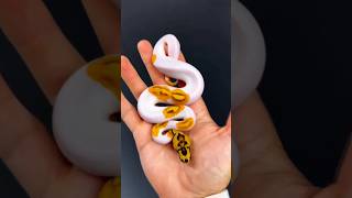 Before vs After  Animal transformation #animals #wildanimals