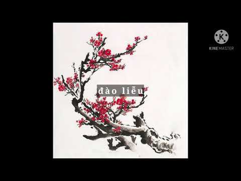 Đào Liễu (The Young Lady) | Đường Xa Vạn Dặm | Quốc Trung