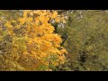 Київська осінь 