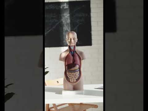 Punarnava juice, packaging type: bottles, packaging size: 10...