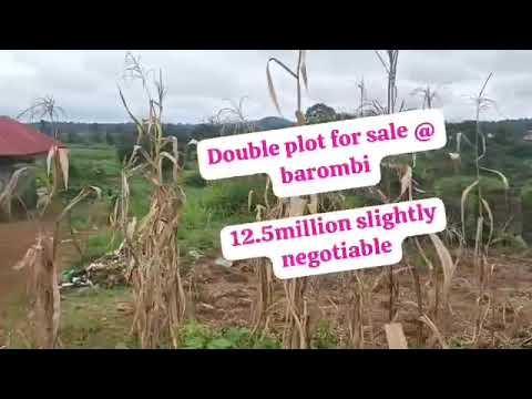 Double Plot for sale video thumbnail