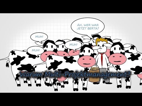 Folge 25 - Warum Multi-Projektmanagement?