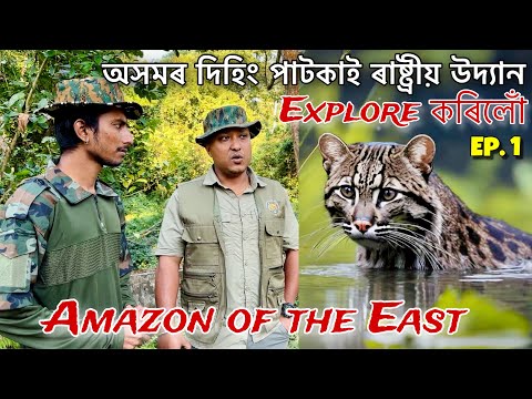 ভাৰতৰ Biggest lowland Rainforest অসমতেই আছে - Episode 1 : Exploring Dihing Patkai National Park
