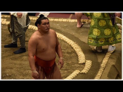 Hoshoryu's 22 winning techniques in 2022