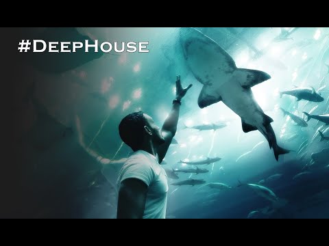 Galwaro x Pete Alauk x Zombic - Lucid Dream