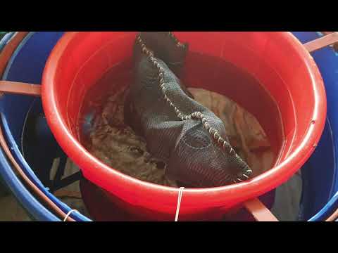 Mini RAS in Dar es salaam